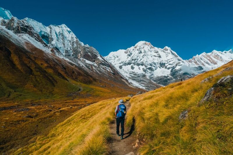 Trekking to Annapurna Base Camp in Spring: What to Expect