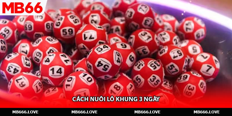 Cách nuôi lô khung 3 ngày