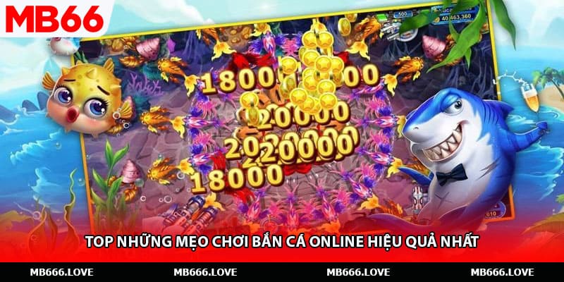 Top những mẹo chơi bắn cá online hiệu quả nhất